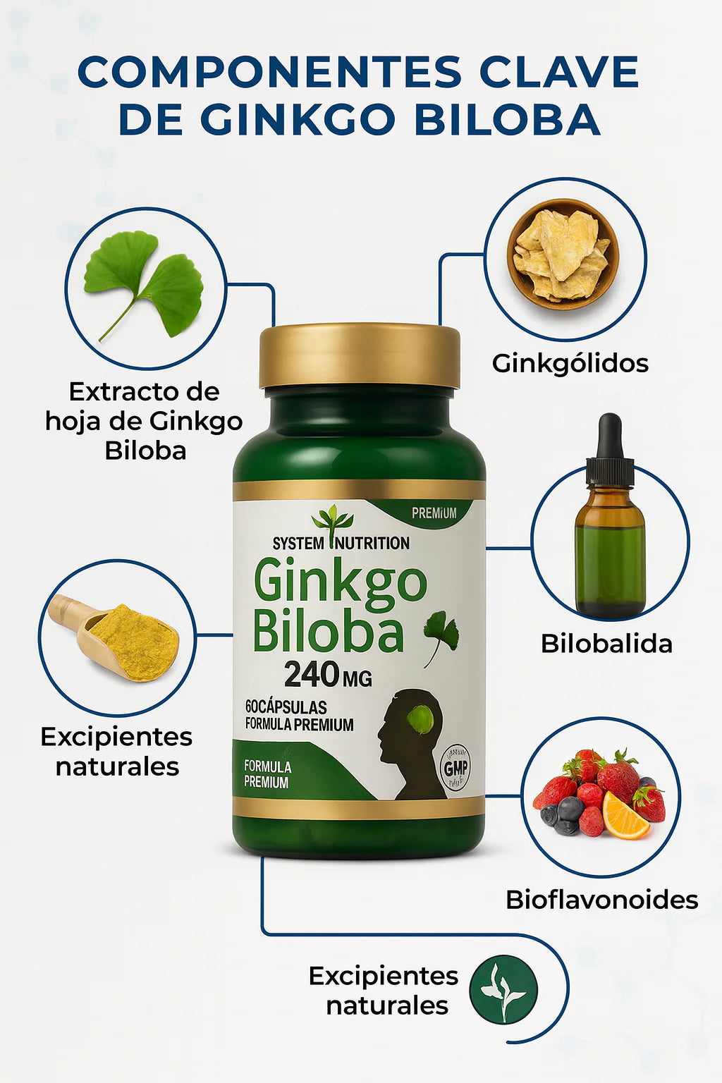 Ginkgo Biloba 240 mg - Suplemento natural premium